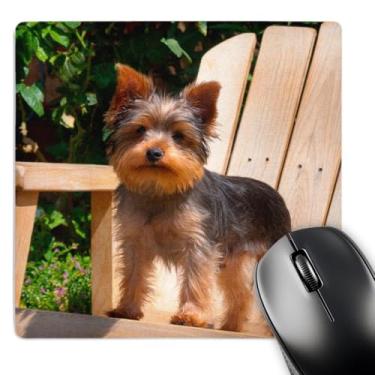 Imagem de Yorkshire Terrier em pé na cadeira de madeira - mouse pad, 20 x 20 cm (mp_206393_1)