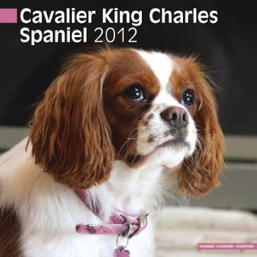 Imagem de Cavalier King Charles Spaniel 2012 Calendar #10026-12