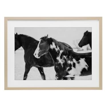 Imagem de Stupell Industries Impressão emoldurada de bétula de cavalos de inverno preto e branco por Amy Carroll, 43 x 58 cm