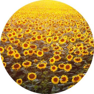 Imagem de Painel de Tecido Sublimado Redondo Girassol  Por do Sol c/ Elástico - 