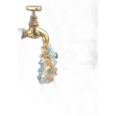 Imagem de Livro Exmo Sr. Prefeito Município Sem Gestão Não Tem Solução