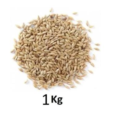 Imagem de Alpiste Polido Limpo Aves Pássaros Sementes Pacote 1, 3, e 5 Kg Limpa 
