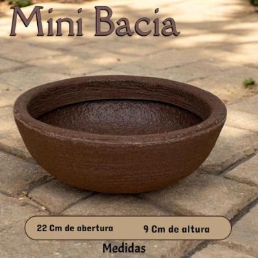 Imagem de Mini bacia 22cm polietileno cactos e suculentas decoração interna e ex