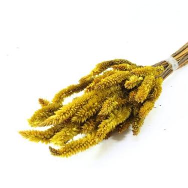 Imagem de Planta Seca Buque Celosia Amarelo 50cm - Pense Flores