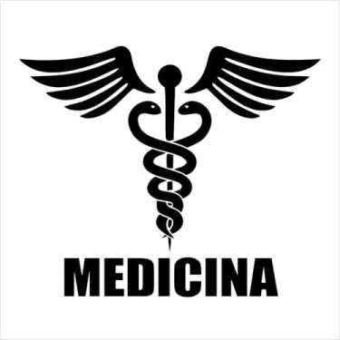 Imagem de ADESIVO DE RECORTE SÍMBOLO DA MEDICINA | Vinil Vazado Profissional - Para Carro, Porta, Consultório, Notebook e Placa | Alta Durabilidade e Resistência (PRETO, 56X46,5 CM)