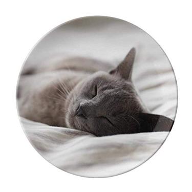 Imagem de Prato de fotografia de gato cinza fofo de animal decorativo de porcelana salver louça de jantar