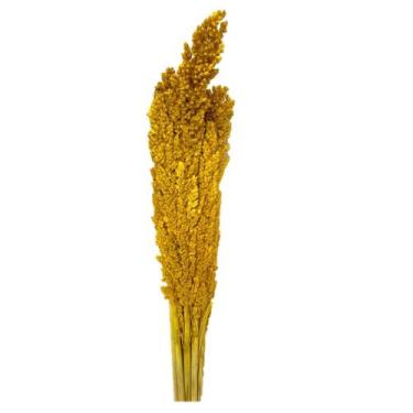 Imagem de Buquê Capim Flor Sorgo Secos Arranjo Desidratado - Inspira Flora, Amar