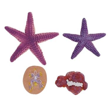 Imagem de Modelo Decorativo, 4 Peças Estatueta de Estrela do Mar Simulada Estrela do Mar Praia Animais Temáticos Ornamentos Brinquedo Educativo para Meninos Meninas Crianças de 3 Anos ou