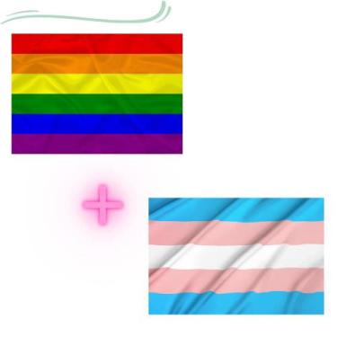 Imagem de Kit - 1 Bandeira GAY + 1 Bandeira TRANS - Max Bandeiras