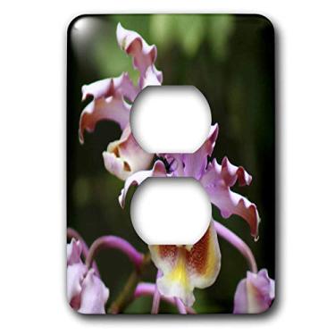 Imagem de 3dRose Lsp_9027_6 Orquídea Pp 2 Tomadas