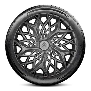 Imagem de Calota LC151 Citroen Aro 13 Grafite Moove Escolha o carro