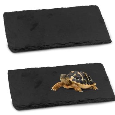 Imagem de kathson 2 peças plataforma de frade para répteis (39,9 x 30 cm), prato de rocha natural, tigela de alimentação, prato de alimentação para terraço, decoração de habitat para tartaruga, lagarto, dragão,