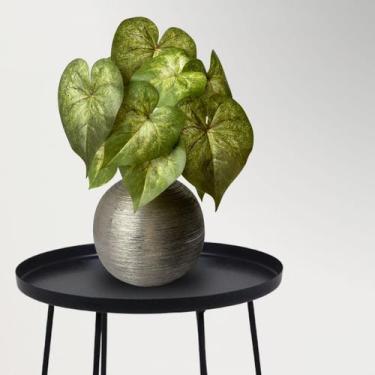 Imagem de 2 Folhagens Artificiais Permanente - Planta Ideal para Decoração de Am