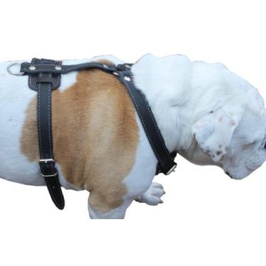 Imagem de Peitoral de couro genuíno para cães, peito de 94 a 114 cm, alças de 2,5 cm de largura. XXG. Terra Nova, Dogue alemão