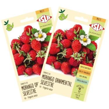 Imagem de 2X Sementes de Morango Ornamental Silvestre ISLA