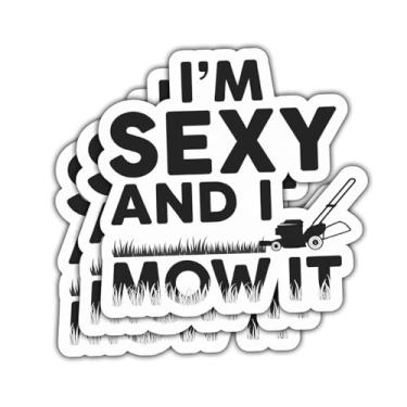 Imagem de Adesivo com 3 peças I'm Sexy and I Mow It, acessórios para cortar grama, adesivos sensuais, máquinas de cortador de grama, humor escuro, adesivo de para-choque - adesivo de vinil 7,6 cm para garrafa