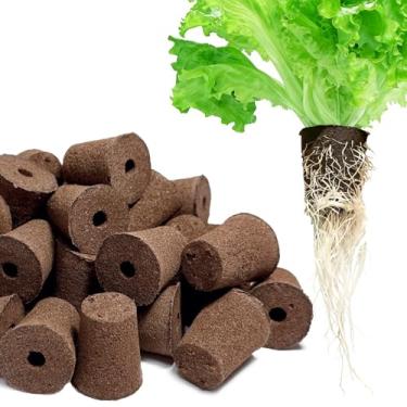 Imagem de MEYCEMT Esponjas de cultivo hidropônicas, pacote com 50, esponjas de ajuste universal e vagens de sementes para iniciar sementes, jardim interno e externo para germinação de sementes e clonagem de