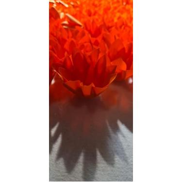 Imagem de Forminhas para doces casamentos festas Modelo Bicudas (Laranja)