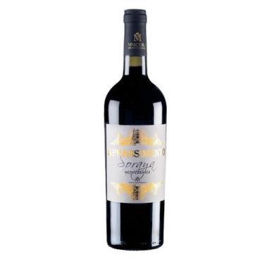 Imagem de Vinho Lambrusco Apassimento Passo Salento IGP
