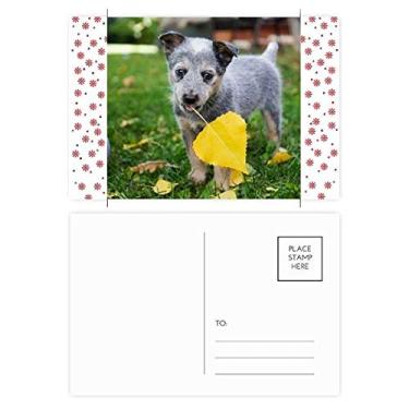 Imagem de Lindo filhote de cachorro de estimação, foto, Natal, Natal, celebração, cartão postal, bênção, cartão postal, cartão de envio,