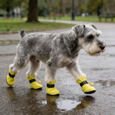Imagem de Sapatos para cães pequenos – Botas respiráveis antiderrapantes para animais de estimação, para ursinho da Pomerânia, Bichon Frise, pacote com 4 protetores de patas de cachorro, para acessórios de