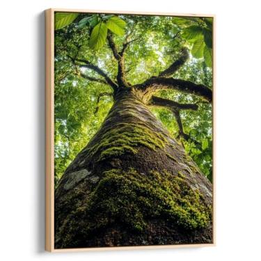 Imagem de Quadro Árvore Ancestral da Força e Sabedoria Viva - Mioquadros, 120x80