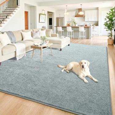 Imagem de Chicrug Tapetes minimalistas laváveis de 15 x 23 cm para quarto, sala de estar, sala de aula, tapete moderno de espuma viscoelástica macia para berçário infantil, tapete interno de camada baixa para