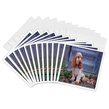Imagem de Cartões comemorativos - Cocker Spaniel inglês - Pacote com 12 - Jr Dogs
