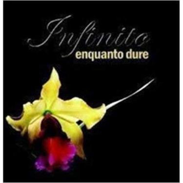 Imagem de Infinito Enquanto Dure - 1