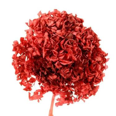 Imagem de Hortência Vermelha Desidratado - Pense Flores
