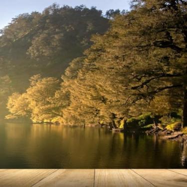 Imagem de Quadro Decorativo Estampa de Madeira com Vista para Árvores - Decoração Moderna Tamanho 40x40cm