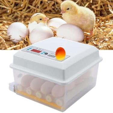 Imagem de Incubadora de Ovos 16 Máquina Digital Incubação Aves Doméstica 110V 12V Energia Dupla com Controle Temperatura Girador Automático Candler LED para em Casa Fazenda Laboratório Galinha Pato Ganso