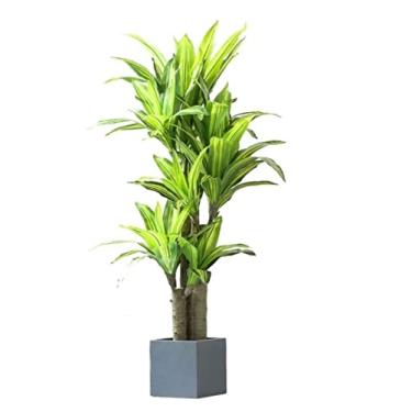 Imagem de Plantas falsas, plantas artificiais, grandes árvores falsas, vegetação, dragão perfumado, árvore de sangue, bonsai, árvore artificial, decoração de casa, plantas artificiais para ambientes internos e