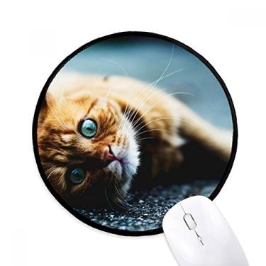 Imagem de Mouse pad de fotografia de gato de olho azul puro tapete redondo de escritório para computador