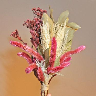 Imagem de Buquê de flores desidratadas flores rabo de gato rosa