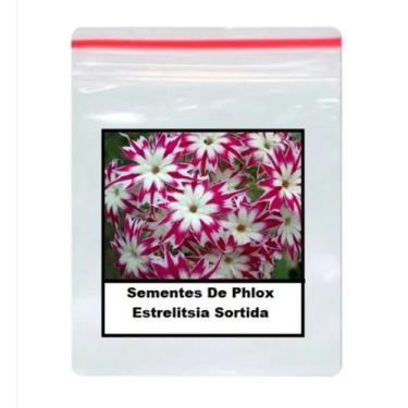 Imagem de 50 Sementes De Phlox Estrelitsia Sortida - SEEDS