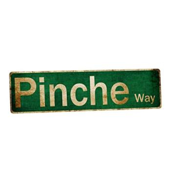 Imagem de SNOWANG Placas de metal de rua divertidas para casa bar de parede e homem (pinça) Decor Pinche 10 x 40 cm