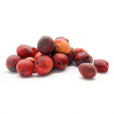 Imagem de Sementes Cascas Diversas para Decoração Flores Seca Variadas - Pense F