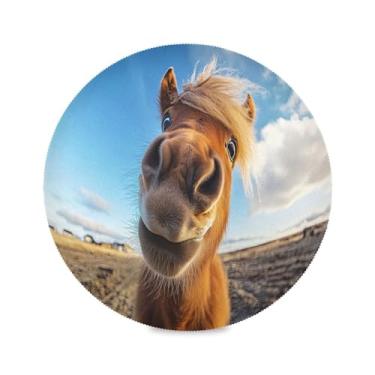 Imagem de STAYTOP Jogo americano redondo de cavalo bonito com cabelo loiro 6 peças, tapetes de mesa antiderrapantes fáceis de limpar para casa, cozinha, churrasco, festa, decoração de mesa