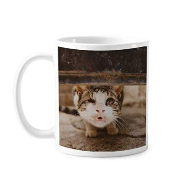 Imagem de Caneca de foto de gato engraçada de animal Caneca de cerâmica copo de porcelana café louça
