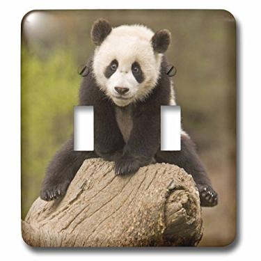 Imagem de 3dRose lsp_70238_2" China, Wolong Reserve, Baby Panda Bear On Stump Interruptor de botão duplo