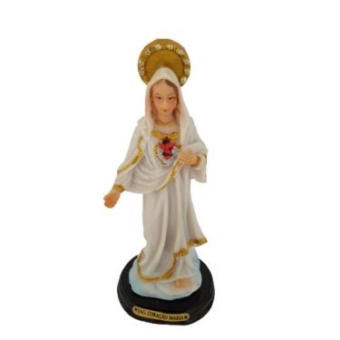 Imagem de Imagem Sagrado Coração De Maria 14cm