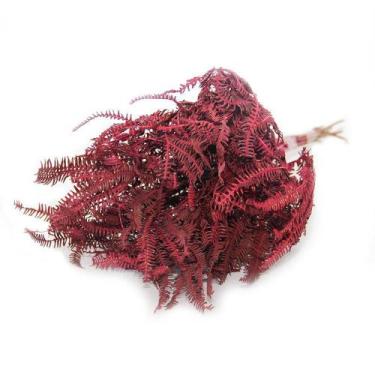 Imagem de Samambaia Barranco Pink Desidratado - Pense Flores