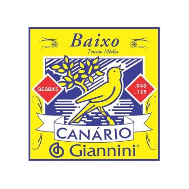 Imagem de Corda Para Contrabaixo Giannini Gesbx5 0.40-0.125 Super Leve