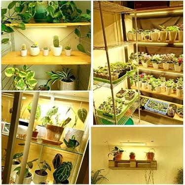 Imagem de YWBL-WH Lâmpada LED para Plantas, Luz de Espectro Total Com Temporizador, 4 X 10W para Plantas de Estufa Interna