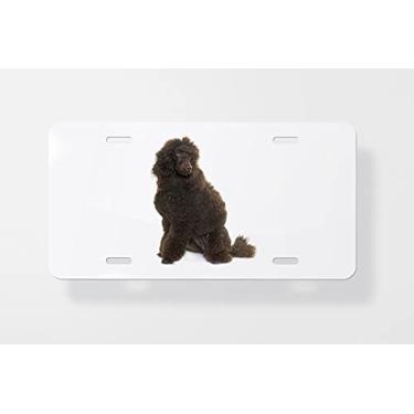 Imagem de Poodle 1 Capa para placa de carro – Capa para placa de carro – Capa para placa de carro 15 x 30 cm