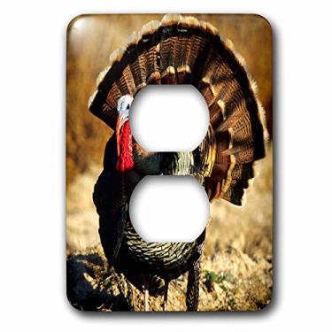 Imagem de Capa de tomada 3D Rose LSP_251472_6 Rio Grande Wild Turkey Gobbler Strutting, Starr County, Texas 2