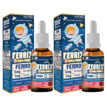 Imagem de Kit 2x Ferrix Ferro 5mg 30ml Sabor Morango Flora nativa do Brasil