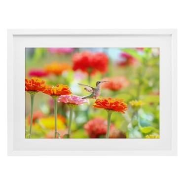 Imagem de Stupell Industries Impressão emoldurada branca beija-flor Sugar Fairy Design sob vidro por Carrie Ann Grippo-Pike, 14 x 20