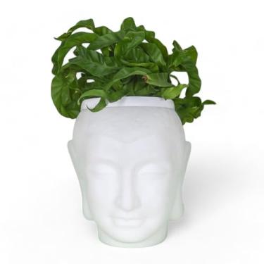 Imagem de Cachepô de Plantas Buda Branco - Vaso Decorativo Estatueta de Resina com Efeito Cimento - Para Sala, Jardim e Decoração